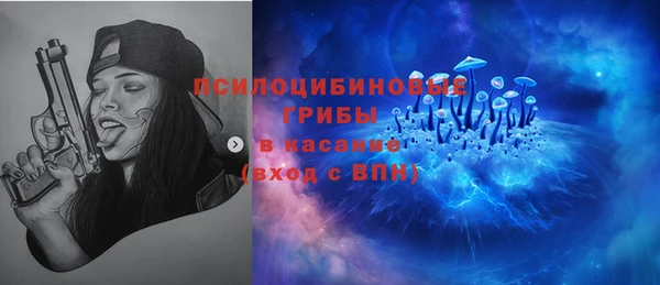спиды Верея