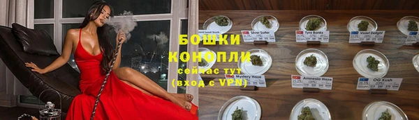 шишки Володарск