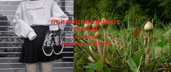 спиды Верея
